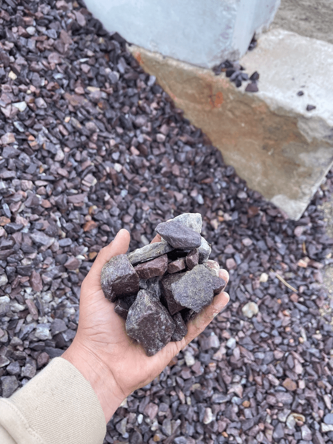 Purple Passion 1.5" (1/2 Yard) - Holland Landscape Supply