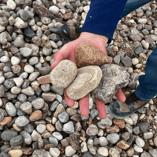 American Heritage 2 - 4" (1/2 Yard) - Holland Landscape Supply