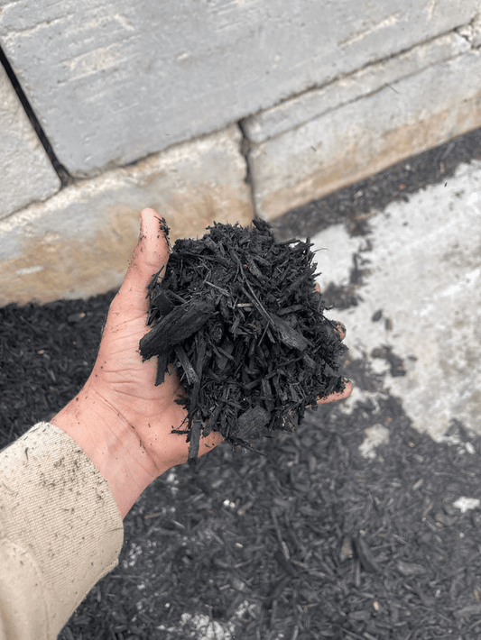 Black Mulch (1/2 Yard) - Holland Landscape Supply
