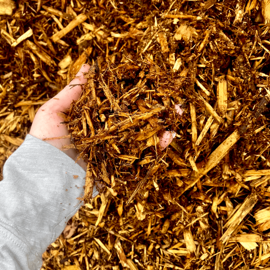Cedar Mulch (1/2 Yard) - Holland Landscape Supply